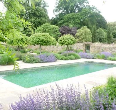 Poolcraft Ltd - Inground outside pool with soft landscaping