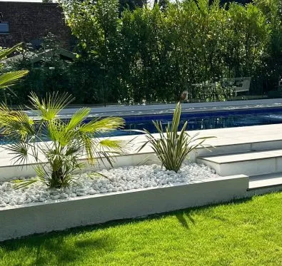 Poolcraft Ltd - Soft landscaping with ferns around an inground outside pool