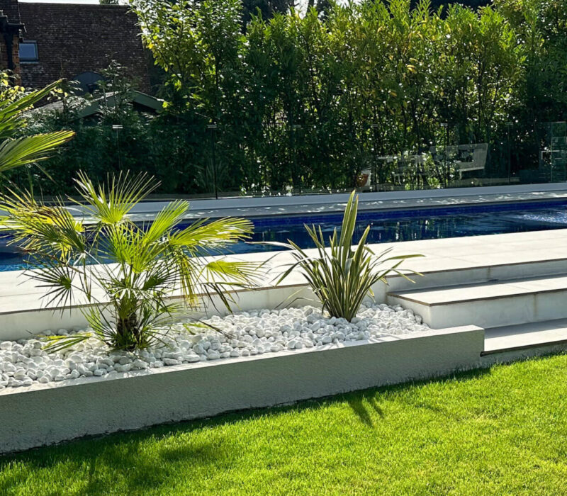 Poolcraft Ltd - Soft landscaping with ferns around an inground outside pool